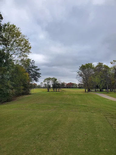Bear Trace at Tims Ford Winchester, TN - Scenic golf course view featuring Jack Nicklaus architectural design, premium Tennessee public golf course