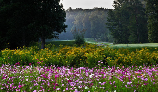 Heatherhurst Crag Golf Course Fairfield Glade, TN - Scenic golf course view featuring Gary Rogers Baird architectural design, premium Tennessee semi-private golf course