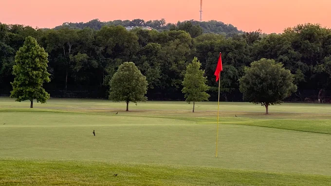 McCabe Golf Course - Photo 21