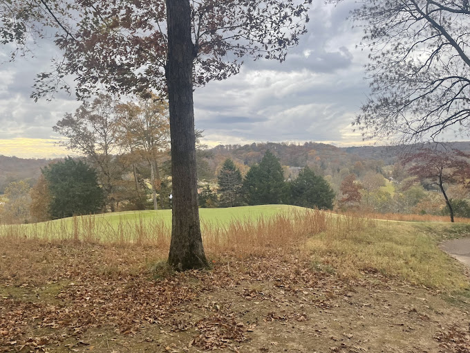 The Golf Club of Tennessee - Photo 13