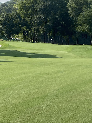 The Golf Club of Tennessee - Photo 19