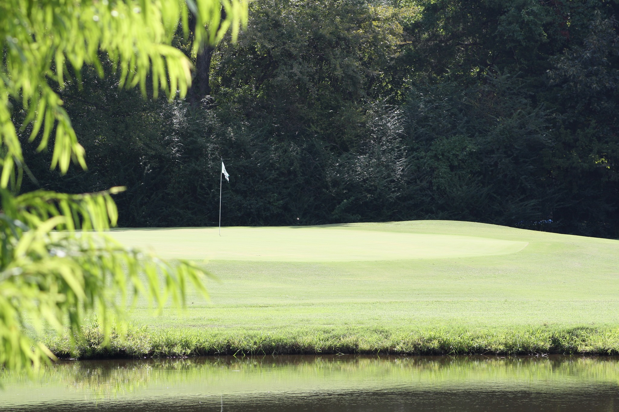 The Links at Fox Meadows Memphis, TN - Scenic golf course view featuring Chic Adams architectural design, premium Tennessee public golf course