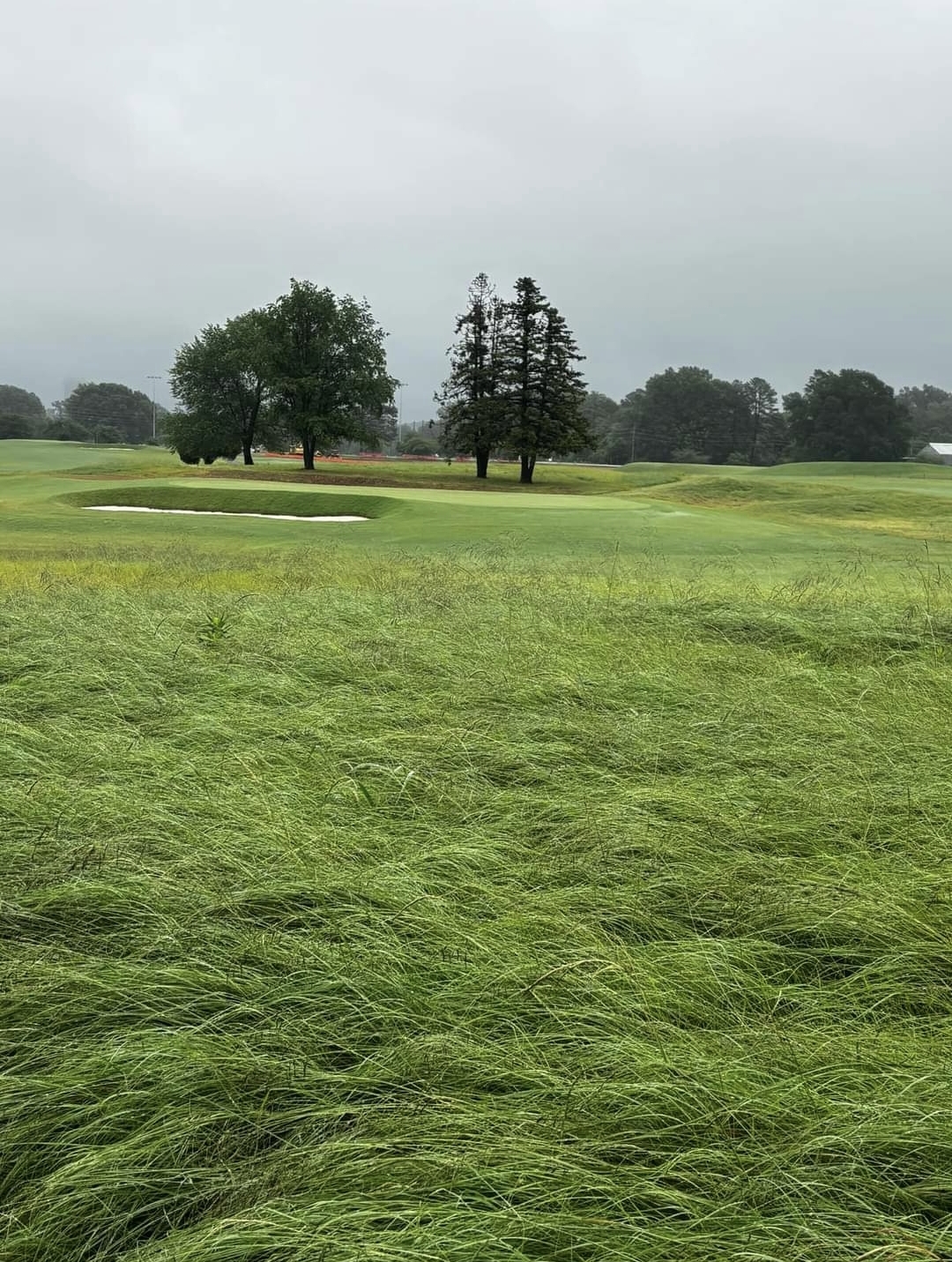 The Links at Audubon Park Memphis Tennessee municipal golf course affordable public downtown location